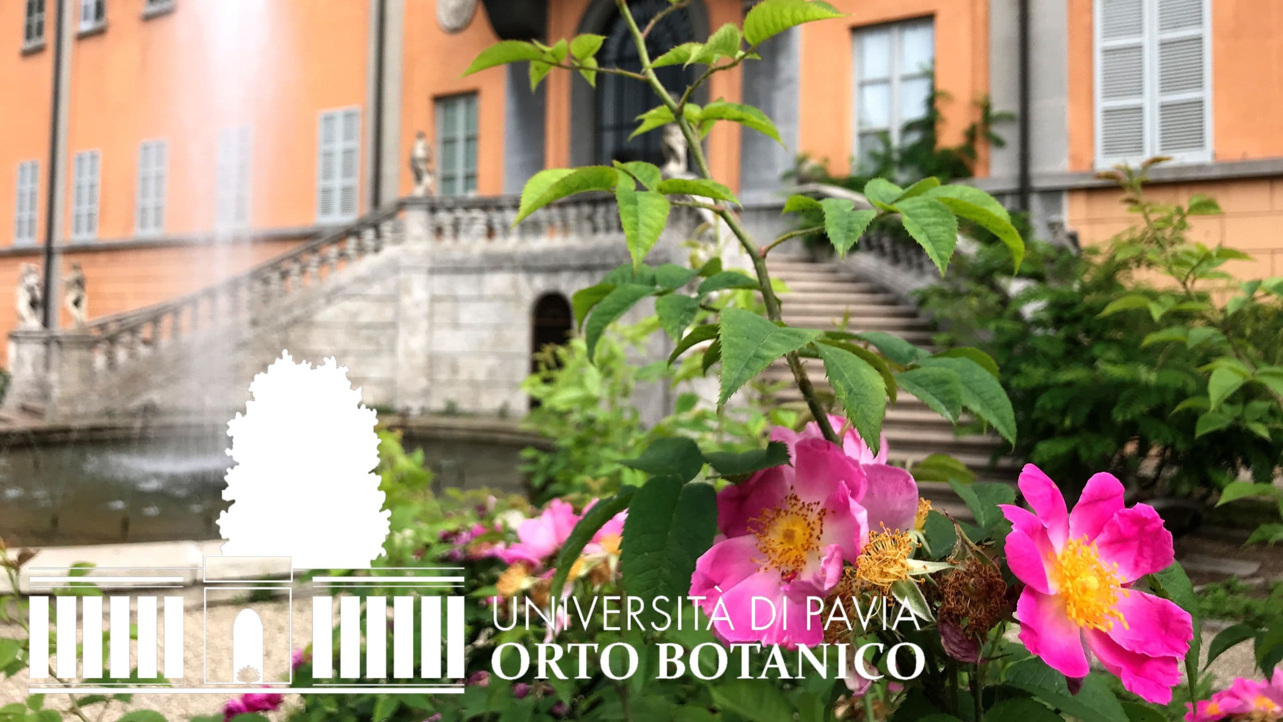 Orto Botanico