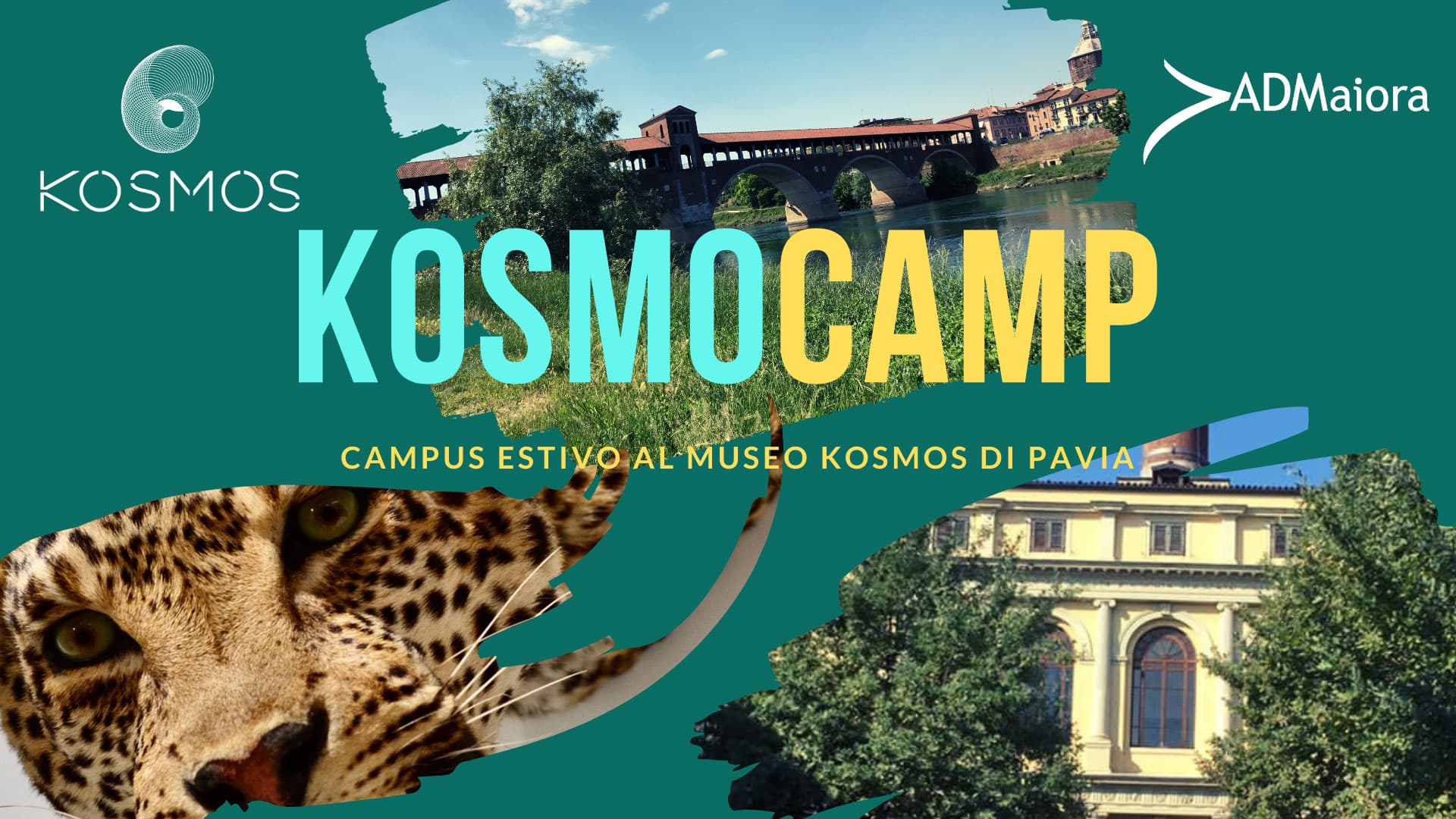 Campus estivi