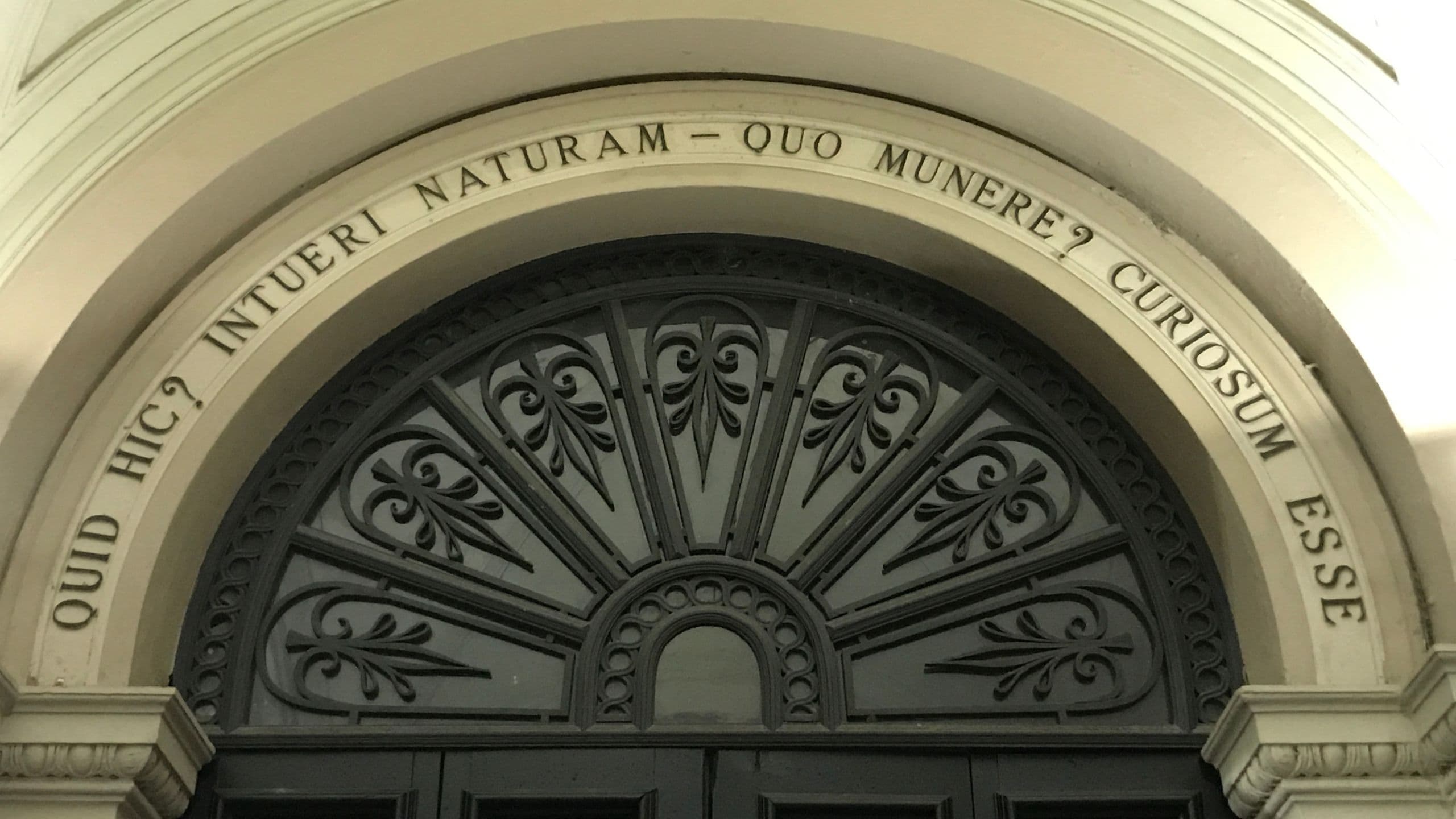 Missione Museo