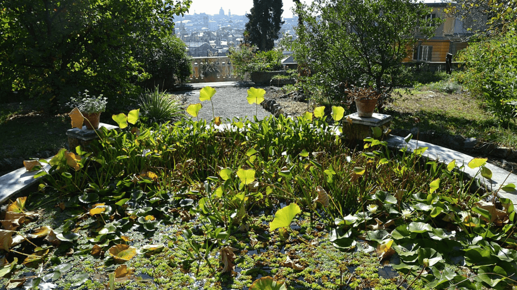 Orto Botanico di Genova