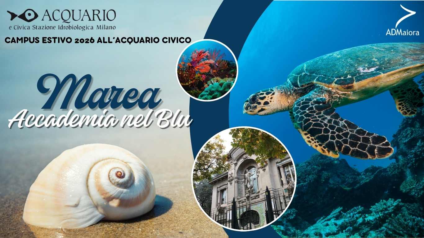 Campus estivo 2026 - Marea