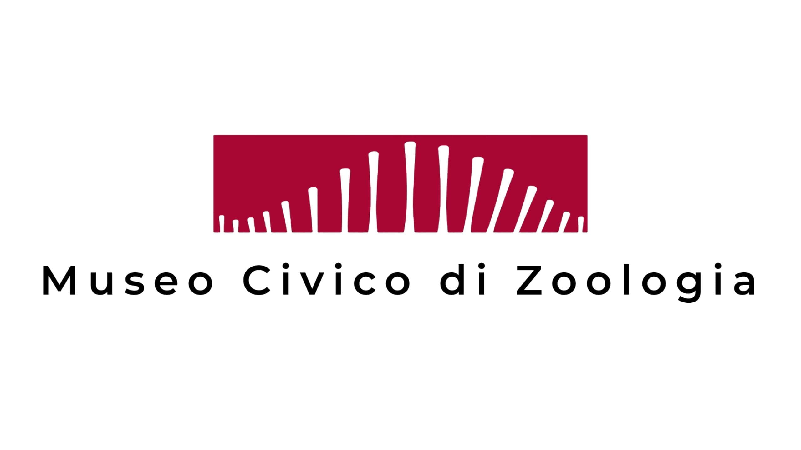 Civico Museo di Zoologia - Roma