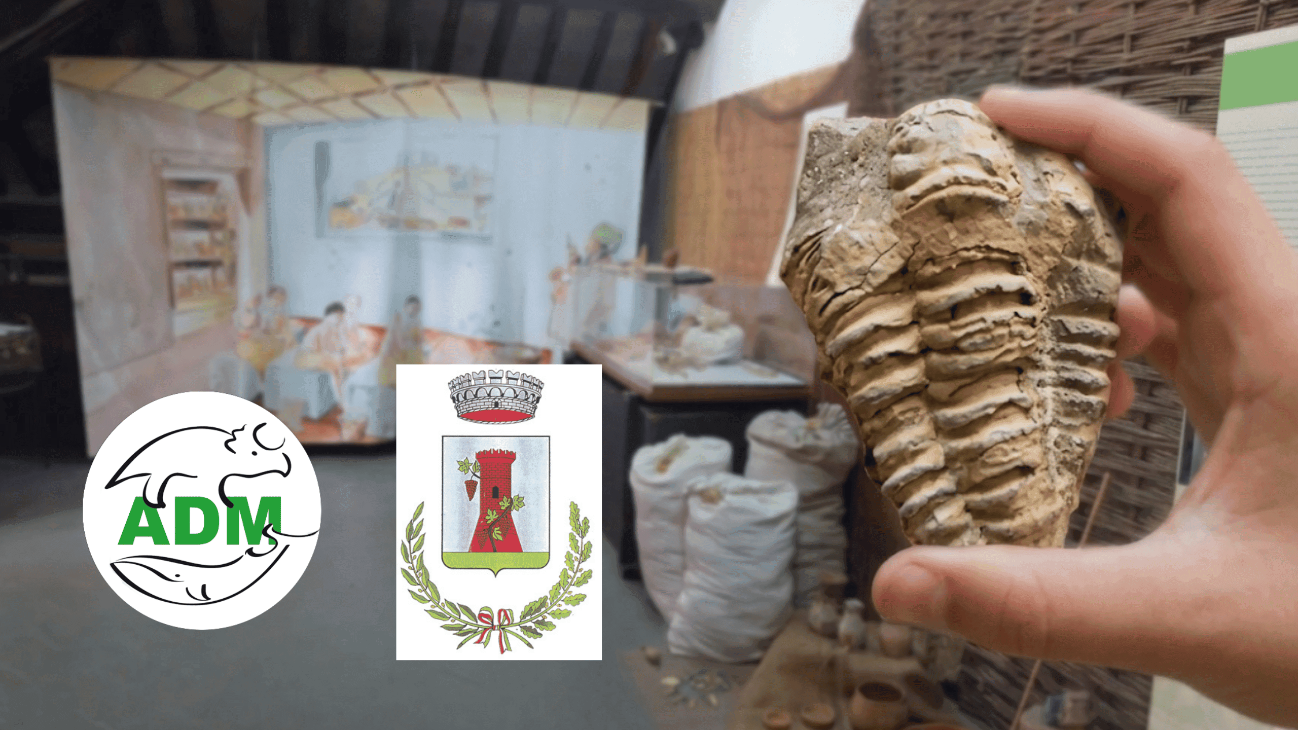 Servizi alla Cultura per il comune di Campomorone