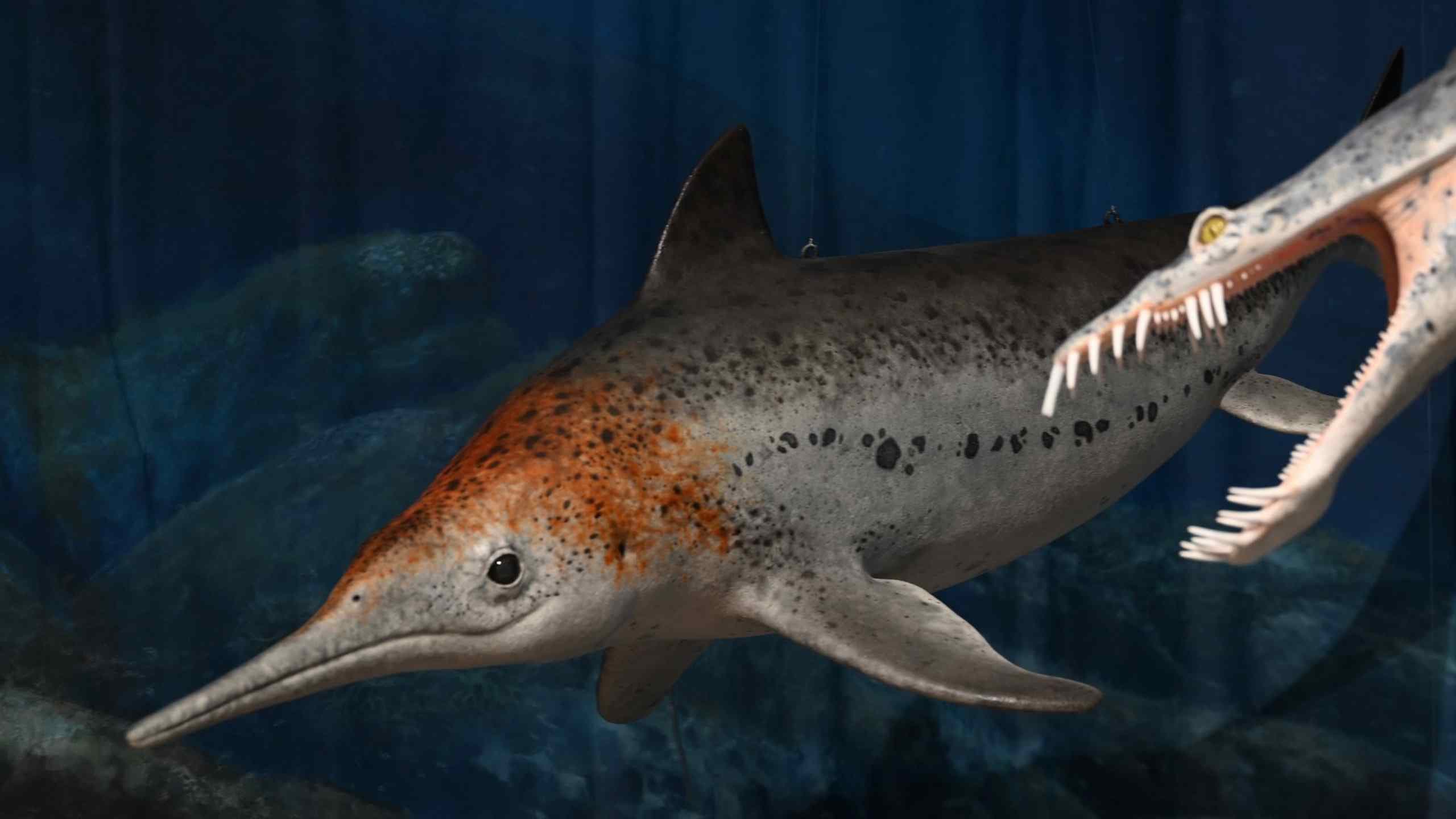 Apprendisti Paleoartisti