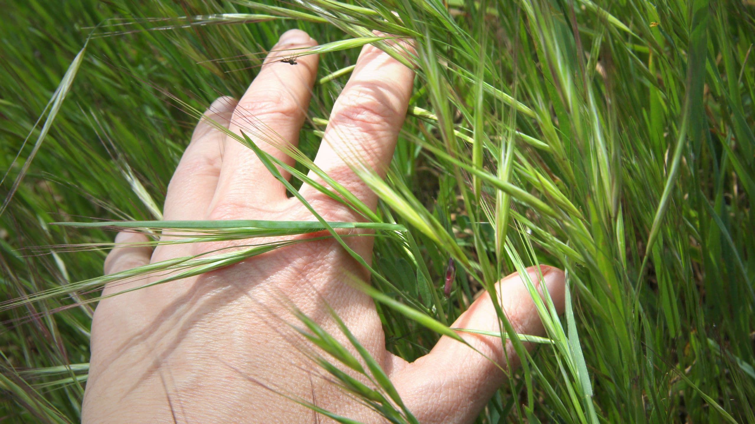 Natura in tutti i sensi