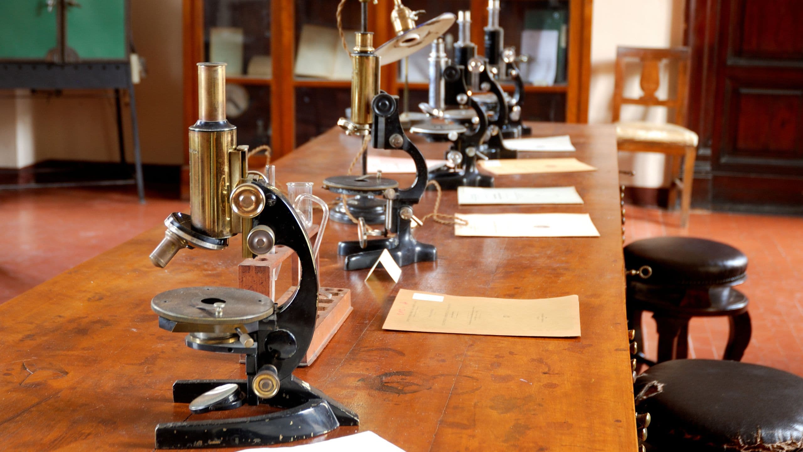 Il museo Golgi: Uno scrigno di scoperte