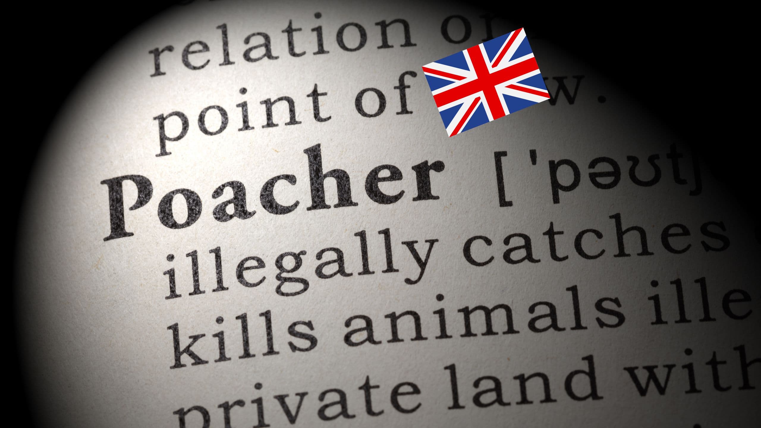 Catch the poacher!